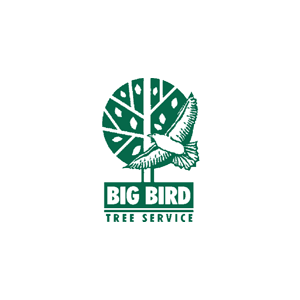 Big Bird Tree Service