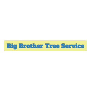 Big Brother Tree Service