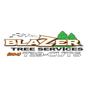 Blazer Tree Services