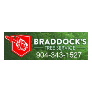 Braddock_s Tree Service