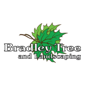 Bradley Tree and Landscaping
