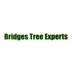 Bridges Tree Experts