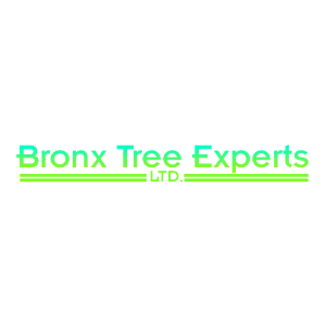 Bronx Tree Experts Ltd.