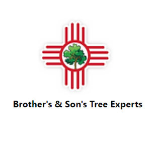 Brothers _ Sons Trees