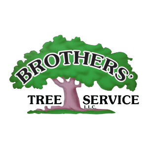 Brothers_ Tree Service