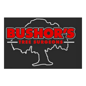 Bushor_s Tree Surgeons