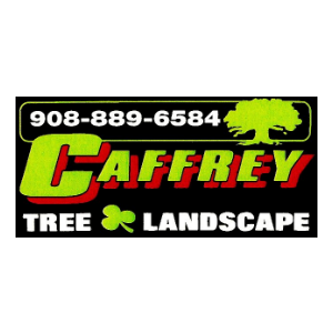 Caffrey Tree _ Landscaping, LLC