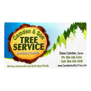 Camden And Son Tree Service