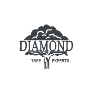 Diamond Tree Experts