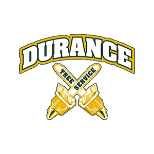 Durance Tree Service of Jacksonville