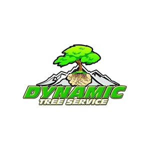 Dynamic Tree Service