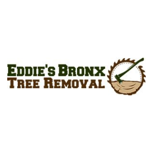 Eddie_s Bronx Tree Removal