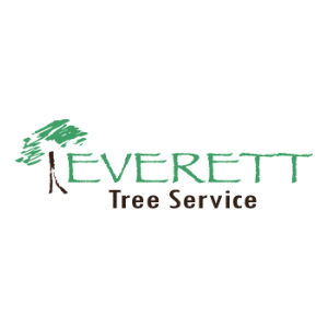 Everett Tree Service and Tree Removal
