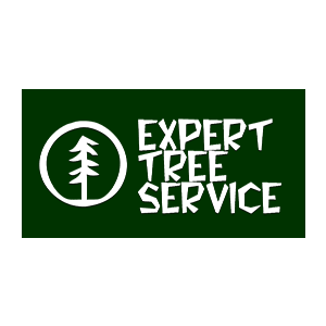 Expert Tree Service