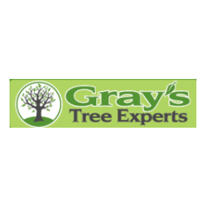 Gray_s Tree Experts