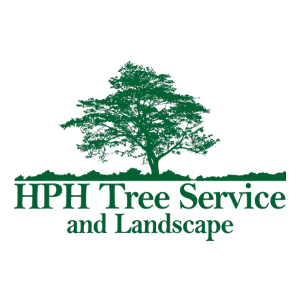 Tree Service Powder Springs Ga