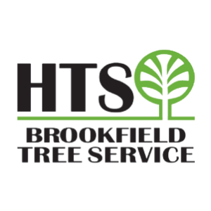 HTS Brookfield Tree Service