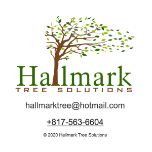 Hallmark Tree Solutions