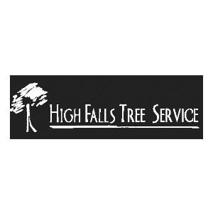 High Falls Tree Service