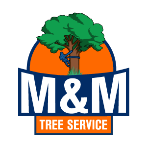 M_M Tree Services