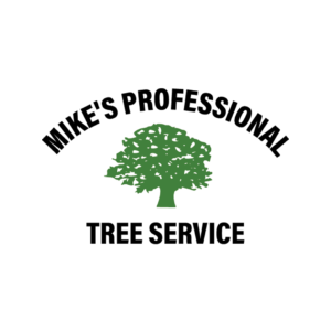 Tree Service Kennesaw Ga