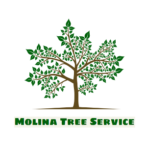 Molina Tree Service LLC