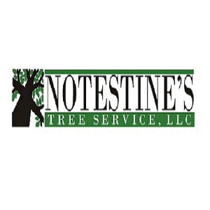 Notestine's Outdoor Services
