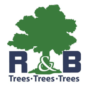 R_B Tree Service