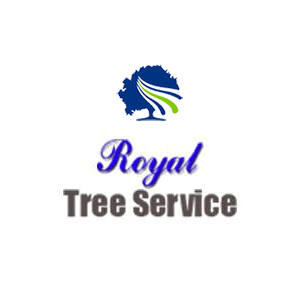 Royal Tree Services