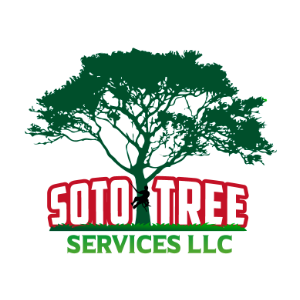 Soto Tree Service LLC