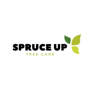 Spruce Up Tree Care
