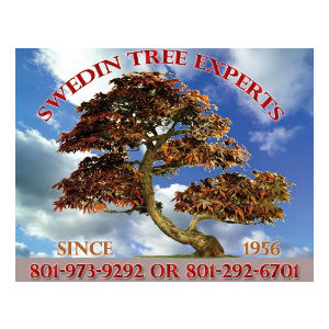 Swedin Tree Experts