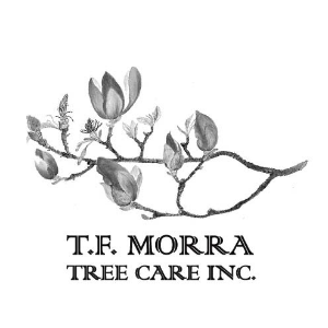 TF Morra Tree Care, Inc.