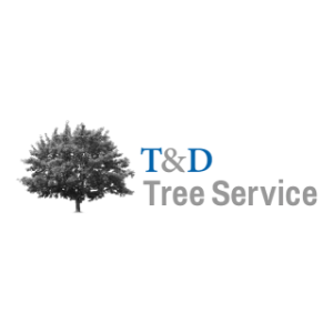 T_D Tree Service