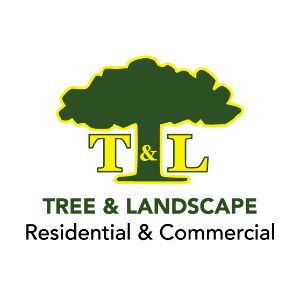 T_L Tree _ Landscape