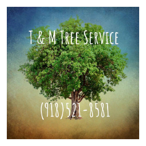 T_M Tree Service