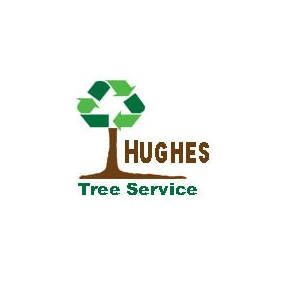 Terry Hughes Tree Service