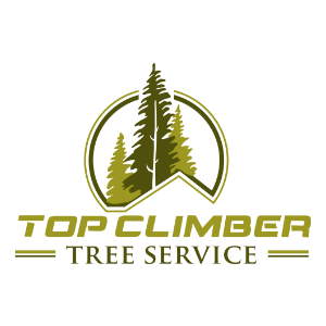 Top Climber Tree Service Corp