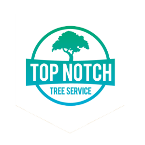 Top Notch Tree Service