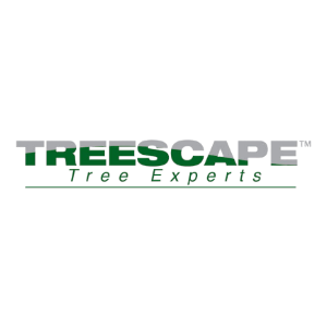 Treescape Tree Experts