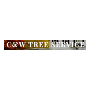 Trinity Tree Service Dayton OH