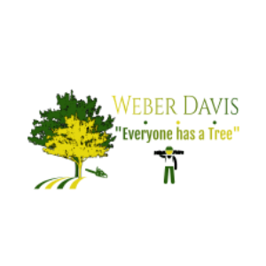 Weber Davis Tree Service