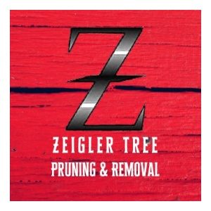 Zeigler Tree _ Timber Company