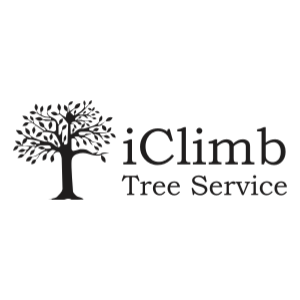 iClimb Tree Service