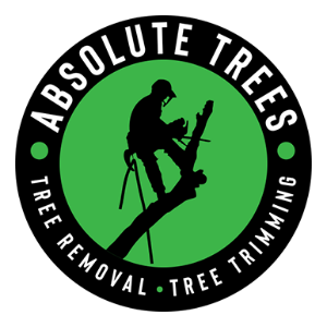 Absolute Trees