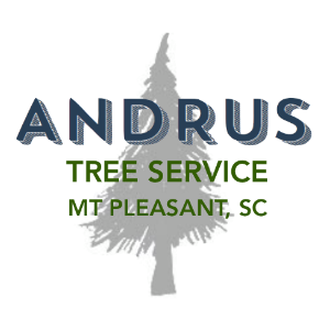 Andrus Tree Service