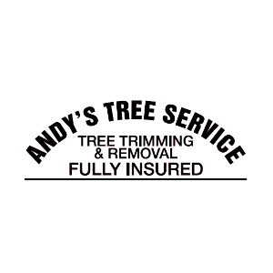 andy's tree service scottsdale