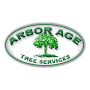 Arbor Age Tree Services