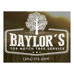 Baylor's Top Notch Tree Service