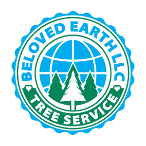 Beloved Earth LLC